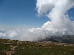 Summer clouds